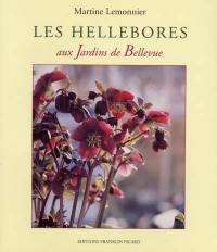 Les hellebores aux jardins de Bellevue