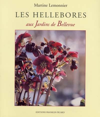 Les hellebores aux jardins de Bellevue