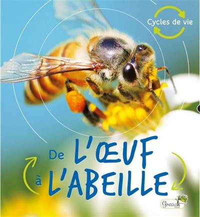 De l'oeuf à l'abeille