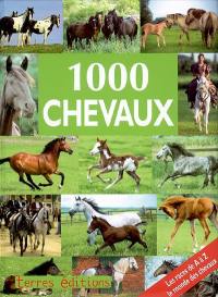 1.000 chevaux : les races de A à Z, le monde des chevaux