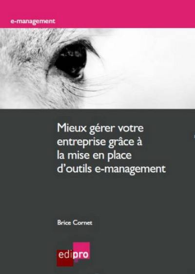 Mieux gérer votre entreprise grâce à la mise en place d'outils e-management : méthodologie, implémentation et bénéfices pour les indépendants, TPE et PME