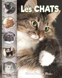 Les chats