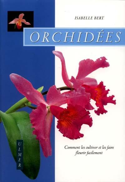 Orchidées : comment les cultiver et les faire fleurir facilement