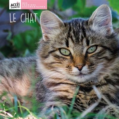 Le chat