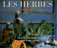 Les herbes, pour créer, décorer, cuisiner