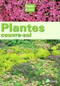 Plantes couvre-sol