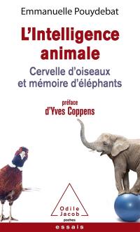 L'intelligence animale : cervelle d'oiseaux et mémoire d'éléphants