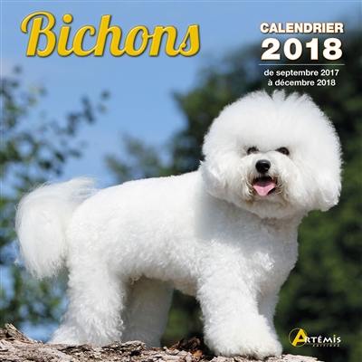 Bichons : calendrier 2018 : de septembre 2017 à décembre 2018