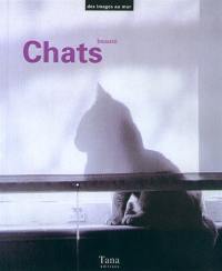 Chats : beauté