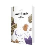 Juste 6 mois. Vol. 3. La dernière bataille