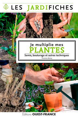 Je multiplie mes plantes : semis, bouturage et autres techniques