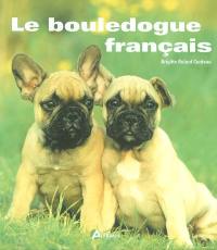 Le bouledogue français