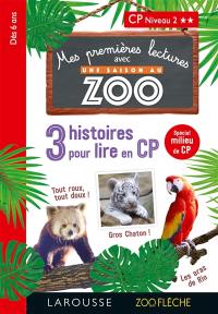 3 histoires pour lire en CP : CP niveau 2