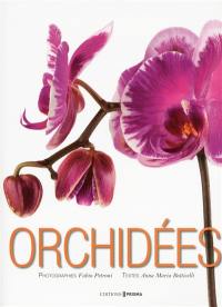 Orchidées