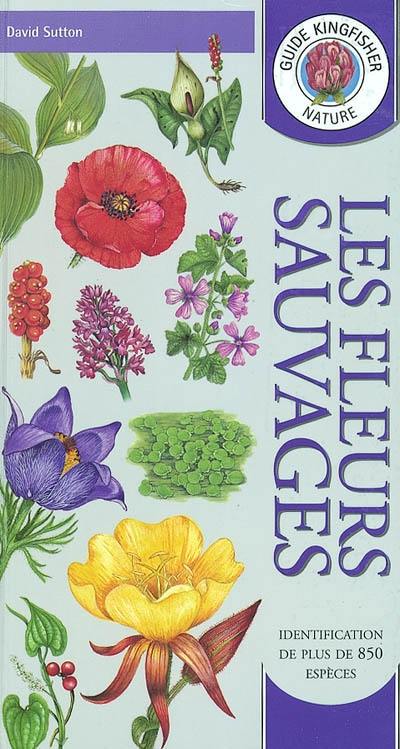 Les fleurs sauvages : identification de plus de 850 espèces