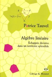 Algèbre linéaire : échappée décisive dans un territoire splendide