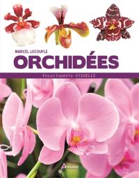 Orchidées