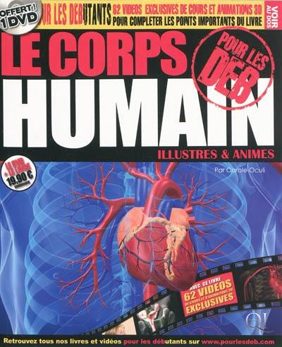 Le corps humain pour les deb