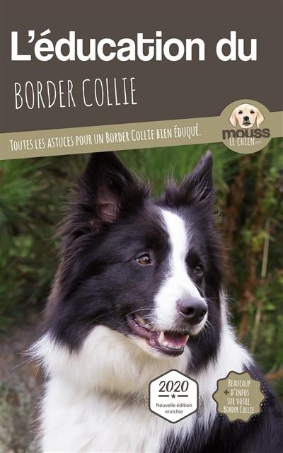 L'éducation du border collie : toutes les astuces pour un border collie bien éduqué