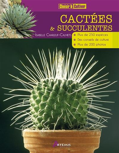 Cactées & succulentes