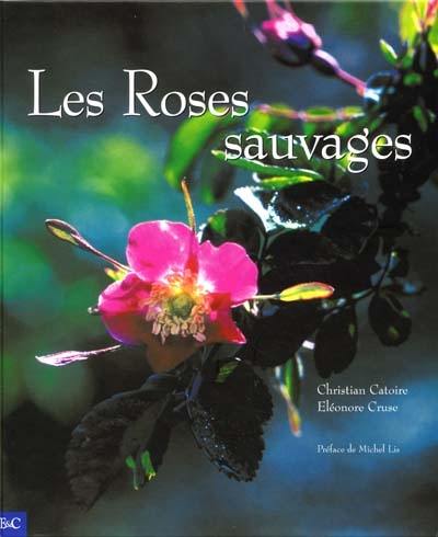 Les roses sauvages