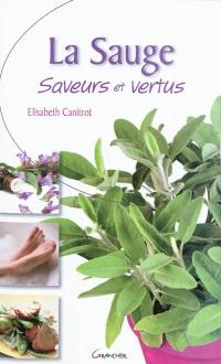 La sauge : saveurs et vertus