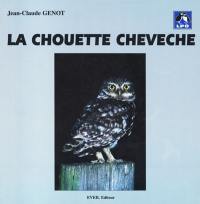 La chouette chevêche