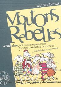 Moutons rebelles : Ardelaine, la fibre développement local : vers une coopérative de territoire