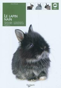 Le lapin nain