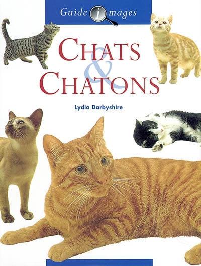 Chats & chatons