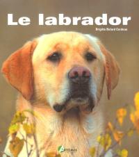 Le labrador