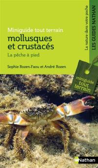 Mollusques et crustacés : la pêche à pied