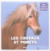 Les chevaux et poneys