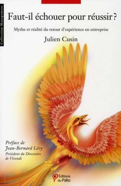Faut-il échouer pour réussir ? : mythe et réalité du retour d'expérience en entreprise