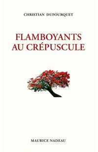 Flamboyants au crépuscule