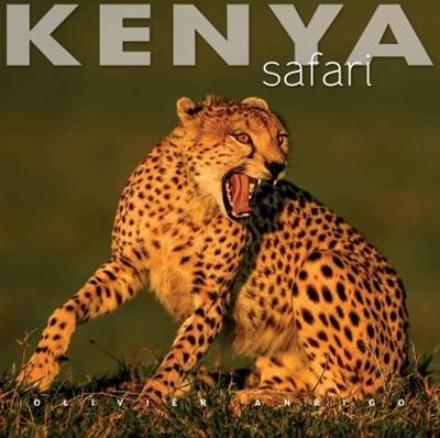 Kenya safari