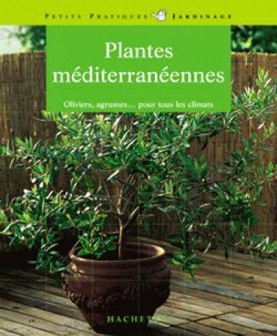 Plantes méditerranéennes