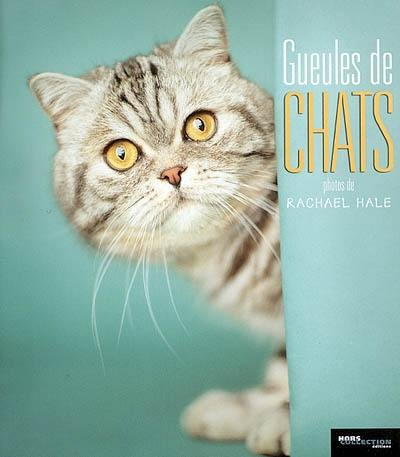 Gueules de chats