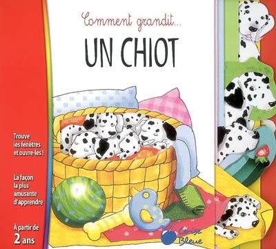 Comment grandit un chiot