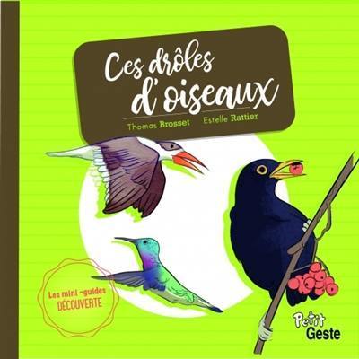 Ces drôles d'oiseaux