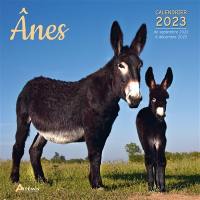 Anes : calendrier 2023 : de septembre 2022 à décembre 2023