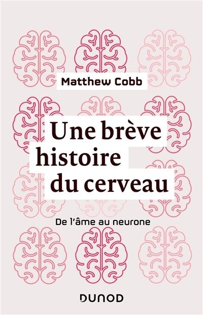 Une brève histoire du cerveau : de l'âme au neurone