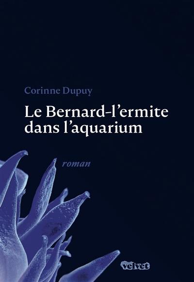 Le bernard-l'ermite dans l'aquarium