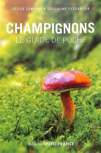 Champignons : le guide de poche