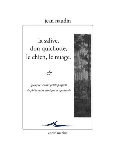 La salive, Don Quichotte, le chien, le nuage : & quelques autres petits paquets de philosophie clinique et appliquée