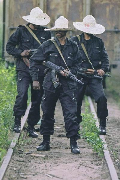 L'Oeil public : quinze ans d'histoires : du photojournalisme à la nouvelle photographie documentaire