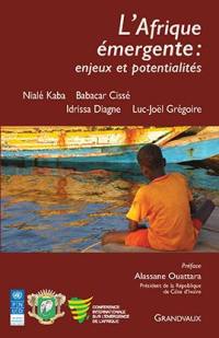 L'Afrique émergente : enjeux et potentialités