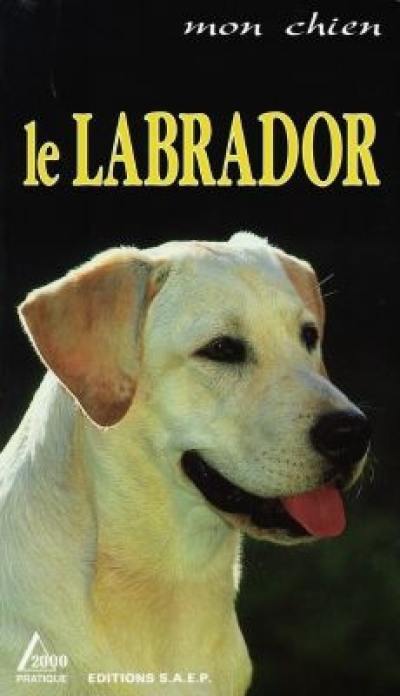 Le labrador