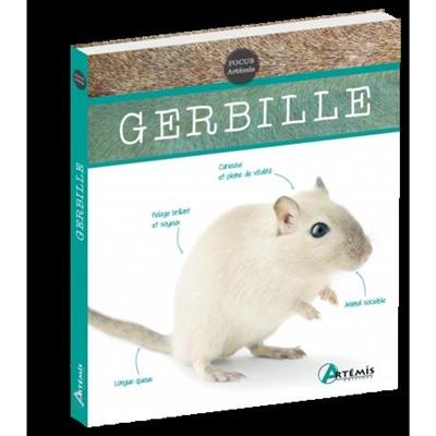 Gerbille