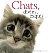 Chats, divins, exquis ! : un livre-cadeau Helen Exley